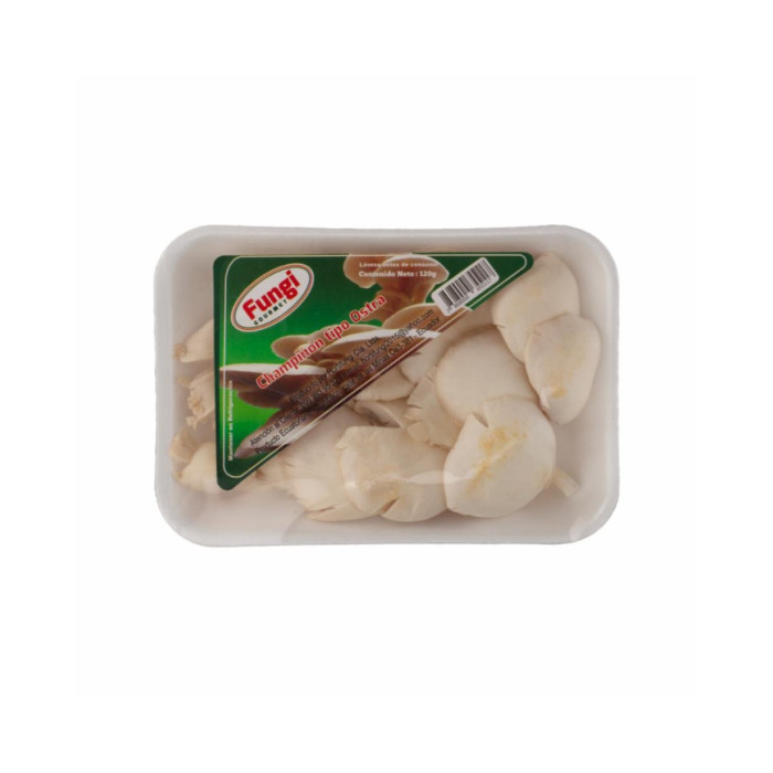 CHAMPIÑON OSTRA
