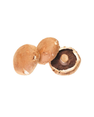 CHAMPIÑON PORTOBELLO