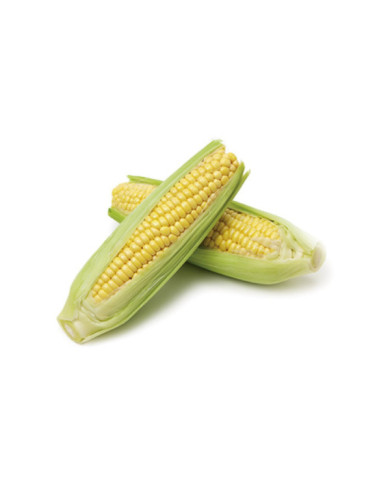 MAIZ DULCE
