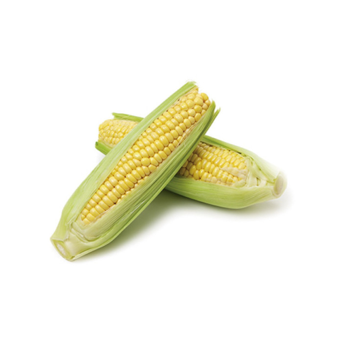 MAIZ DULCE
