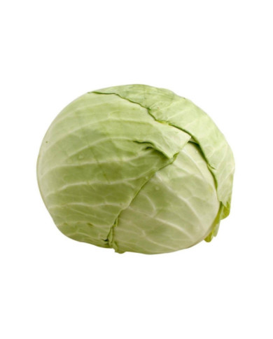 COL BLANCA SEDA GRANDE