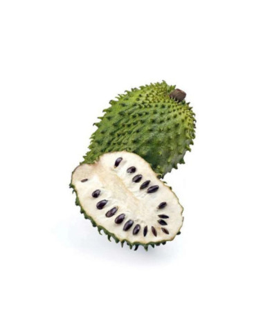 GUANABANA