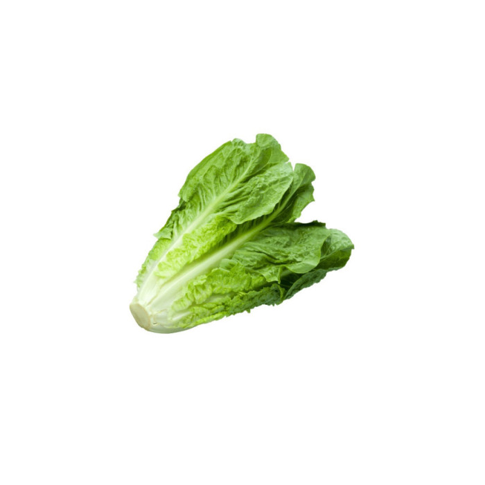 LECHUGA ROMANA EMPACADA
