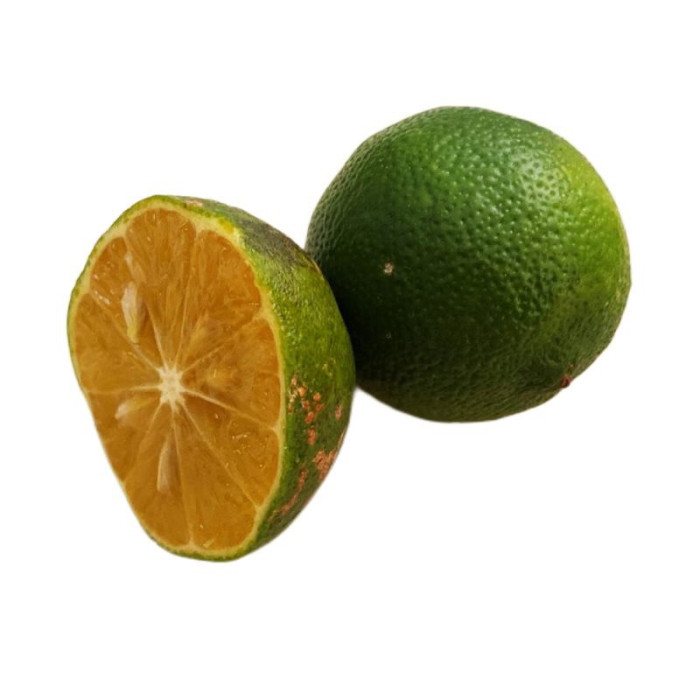 LIMON MANDARINA