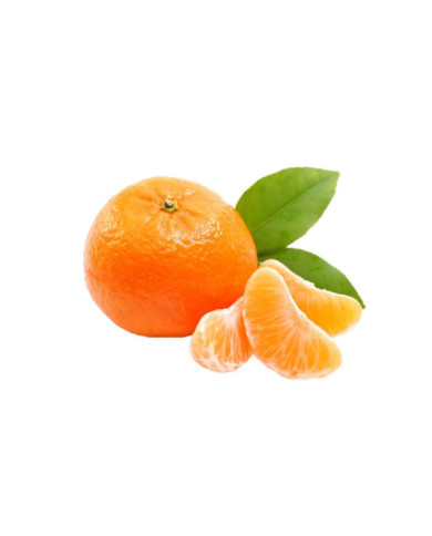 MANDARINA IMPORTADA
