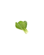 PAK CHOI