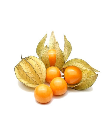 UVILLA ENTERA GRANEL