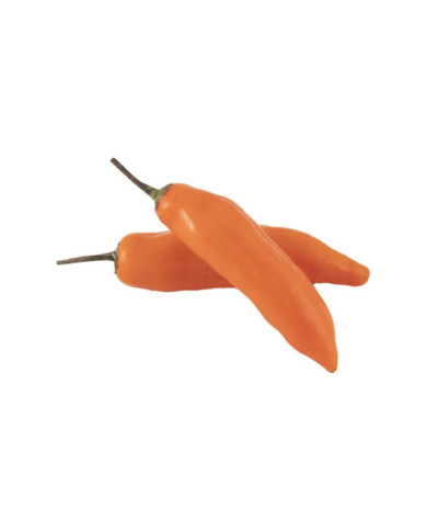 AJI AMARILLO