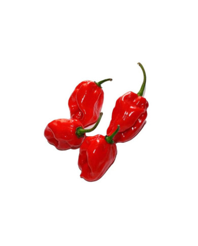 AJI HABANERO