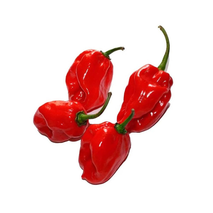 AJI HABANERO