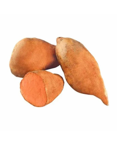 CAMOTE (YELLOW SWEET POTATOES)