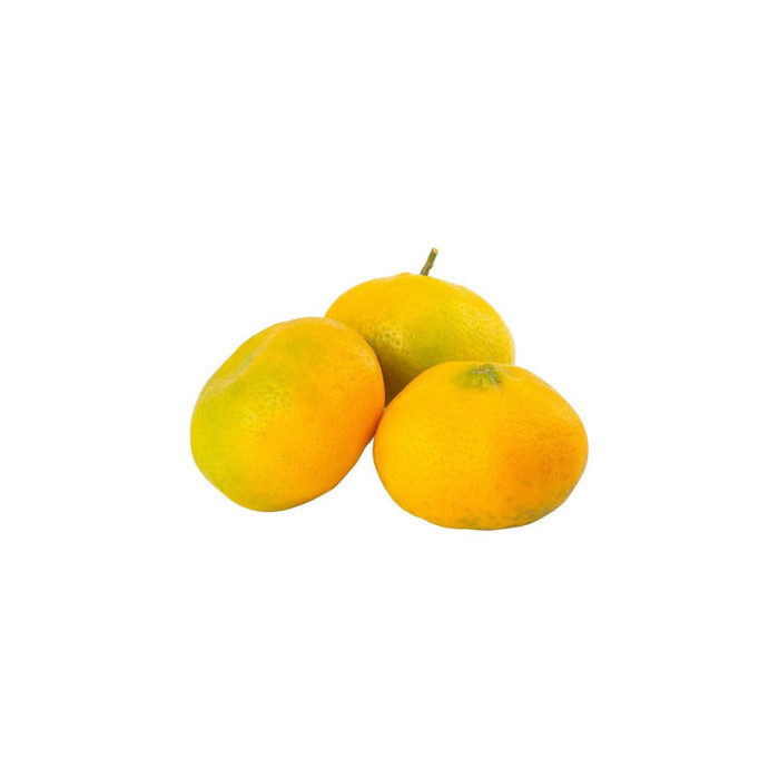 MANDARINA AMBATEÑA