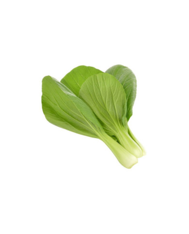 PAK CHOI