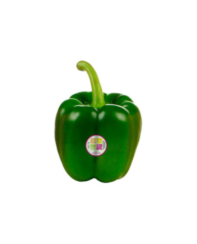 PIMIENTO VERDE