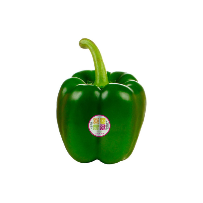 PIMIENTO VERDE