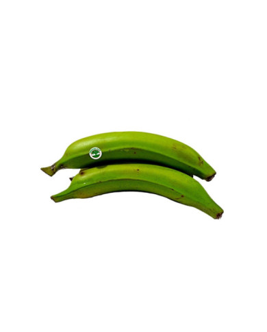 PLATANO VERDE DOMINICO