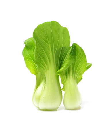 BOK CHOY