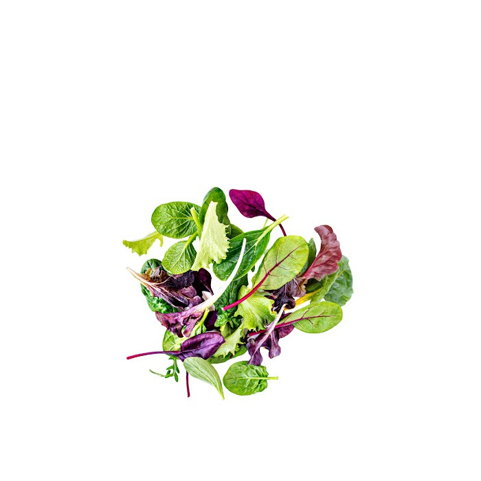 MICROGREENS TARRINA