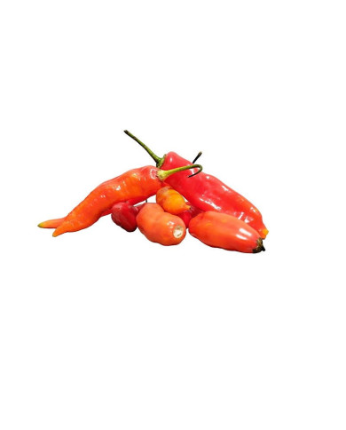 AJI ROJO FRESCO