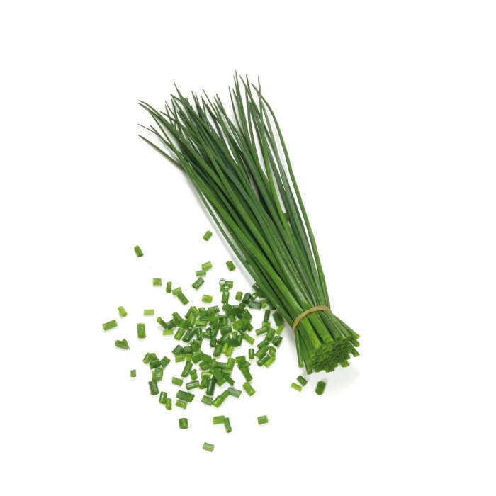 CEBOLLIN (CHIVES)