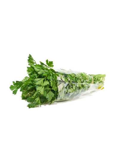 CILANTRO