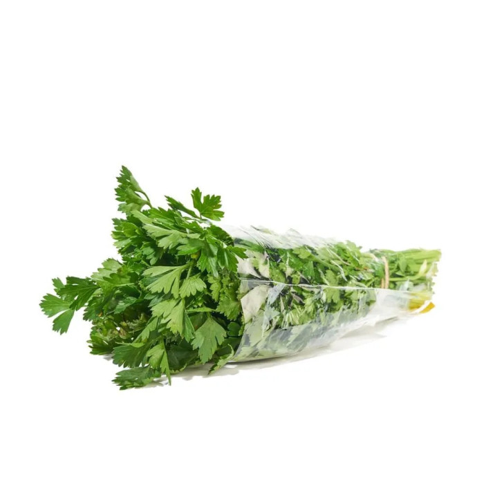 CILANTRO