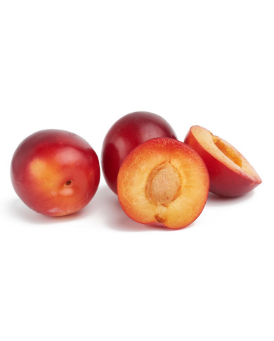 CLAUDIA ROJA IMPORTADA