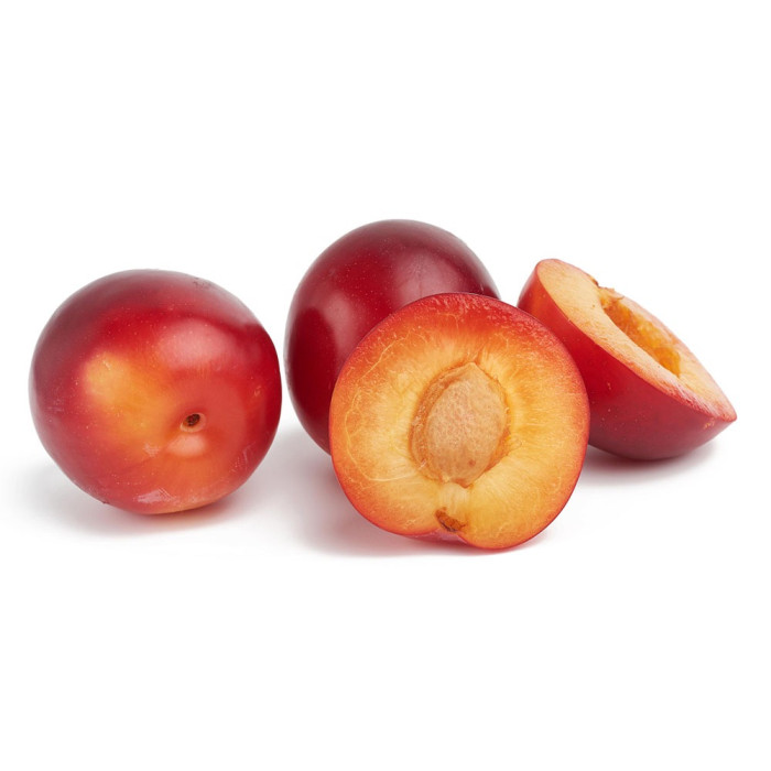 CLAUDIA ROJA IMPORTADA