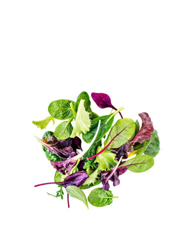 MICROGREENS ORGANICO TARRINA