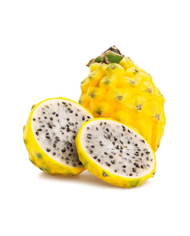PITAHAYA