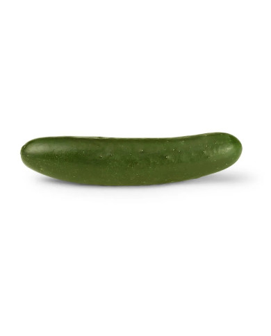 PEPINO
