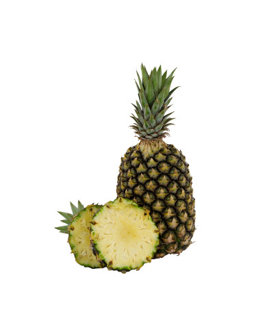 PIÑA
