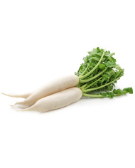 DAIKON