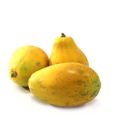 PAPAYA HAWAIANA