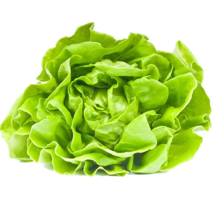 LECHUGA SEDA EMPACADA