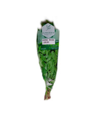 HIERBAS COLADA MORADA