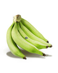 PLATANO VERDE DOMINICO