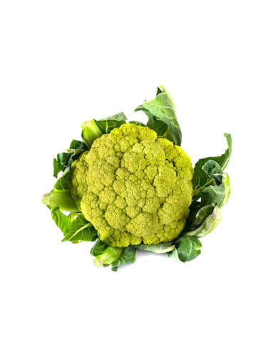 COLIFLOR VERDE