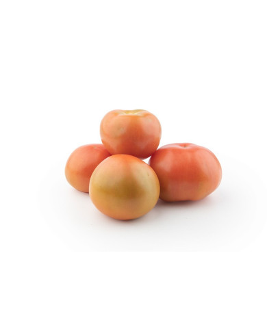TOMATE RIÑON