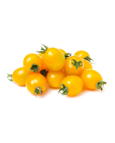 TOMATE CHERRY AMARILLO